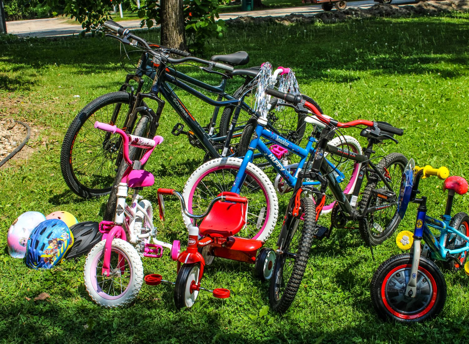 bikes